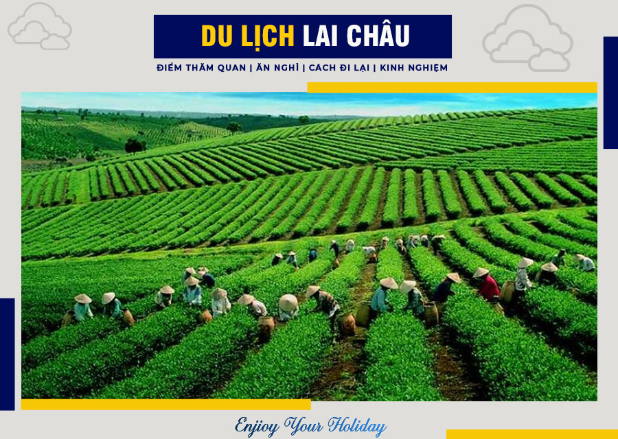 Khám phá đồi chè Tân Uyên Lai Châu Khám phá đồi chè Tân Uyên Lai Châu
