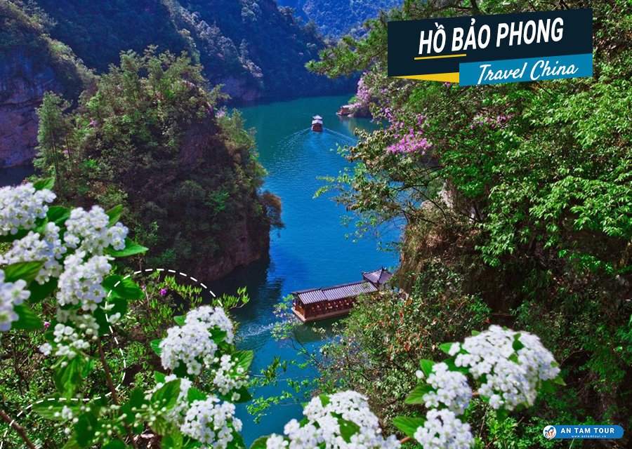 Hồ Bảo Phong