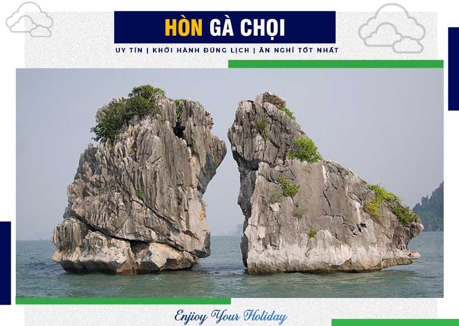 Hòn Gà Chọi Vịnh Hạ Long