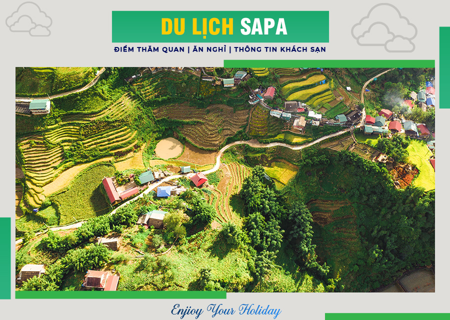 Hoa đào nở rực rỡ mùa xuân du lịch Sa Pa.