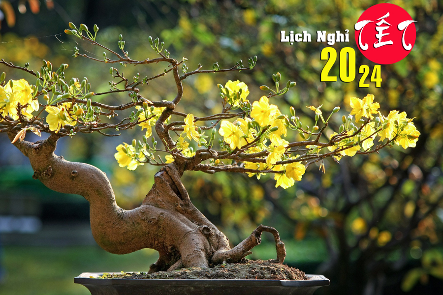 Lịch Nghỉ Tết 2024