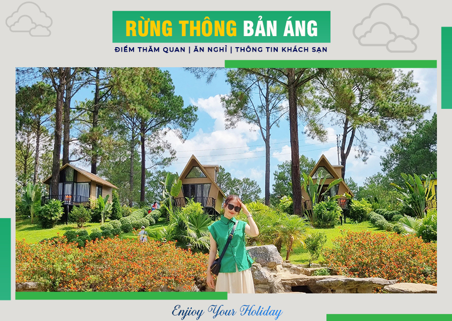 Rừng thông Bản Áng