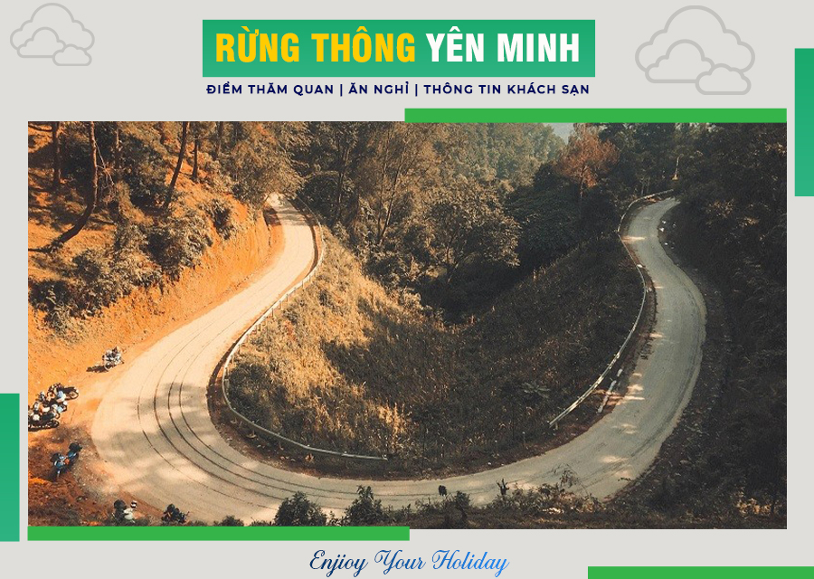 Rừng thông Yên Minh