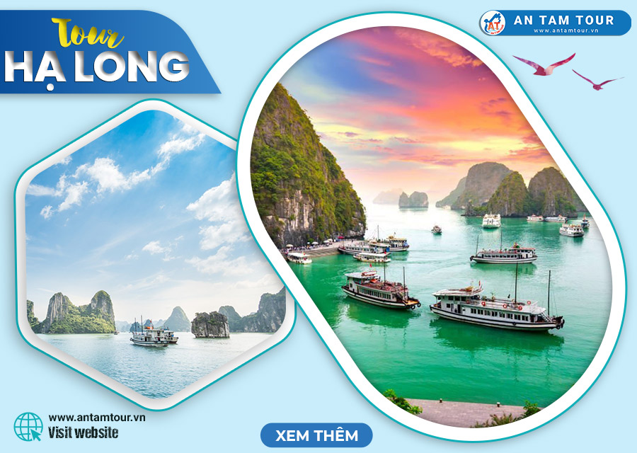 tour ha long 3n2d