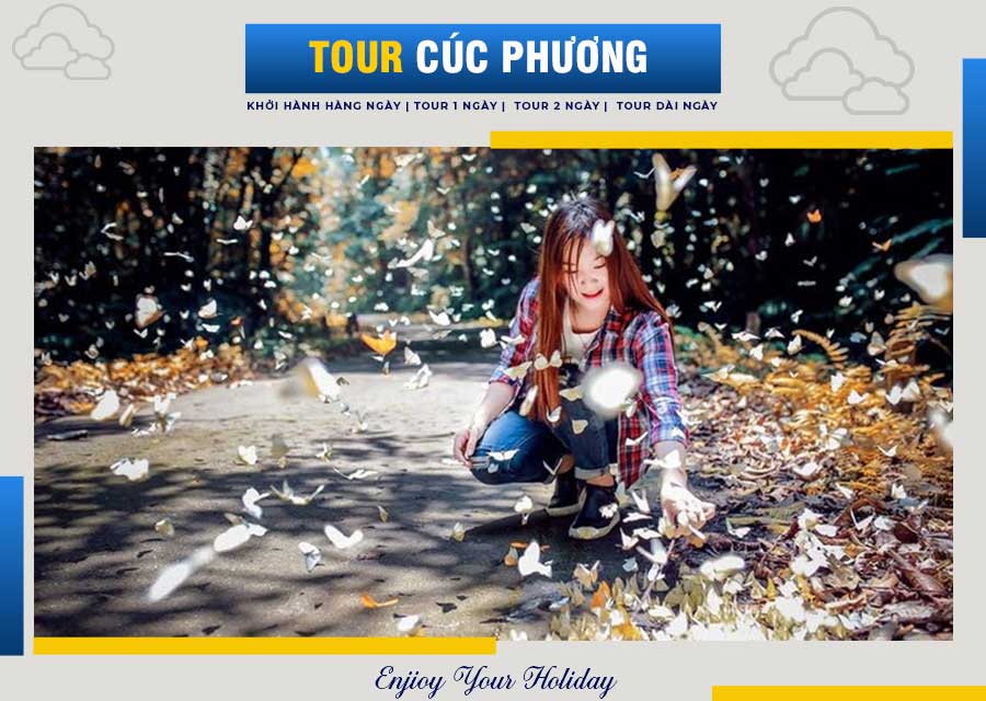 tour from ninh binh