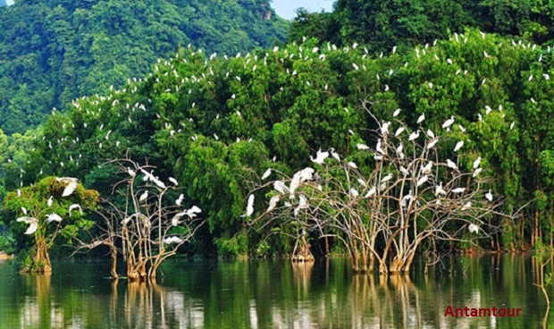 du lịch Tràng An