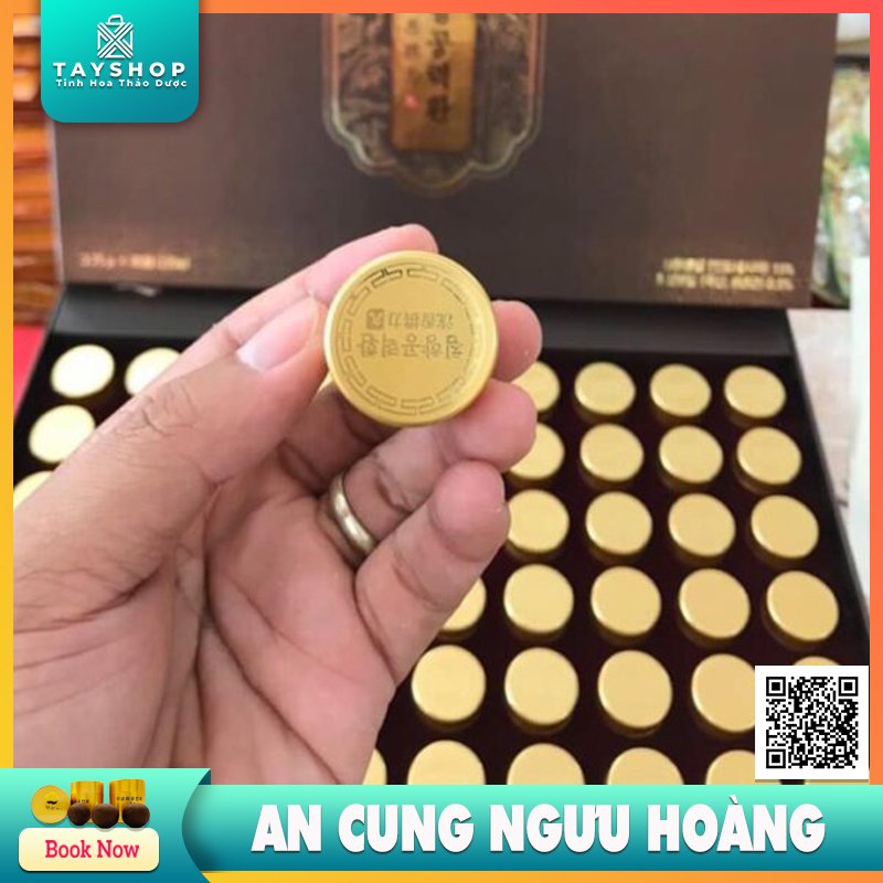 Viên an cung ngưu