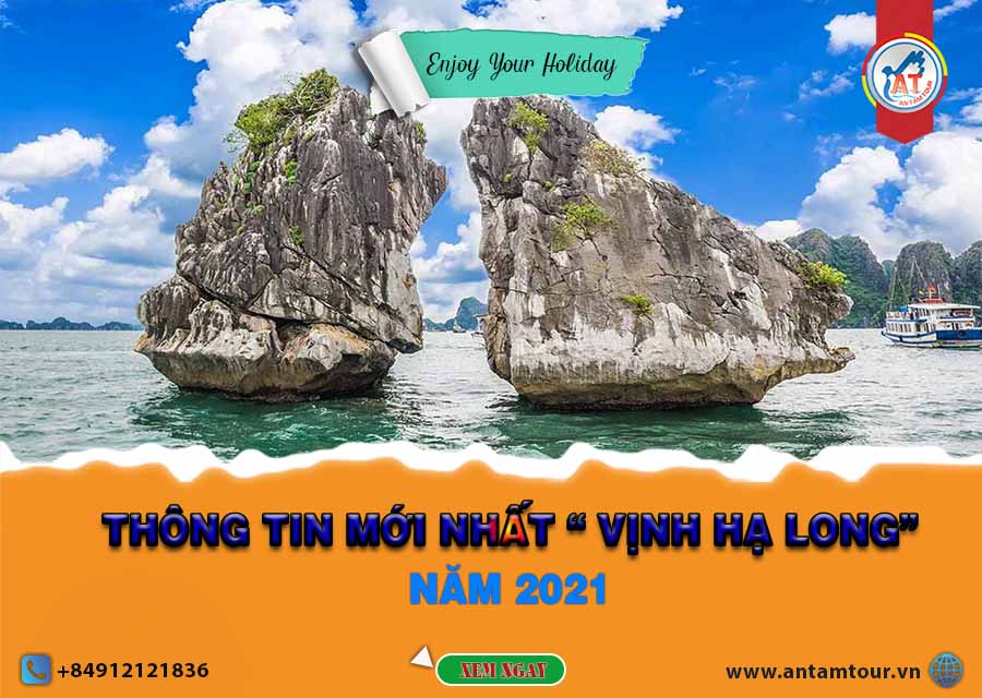 GIÁ VÉ THAM QUAN VỊNH HẠ LONG MỚI NHẤT