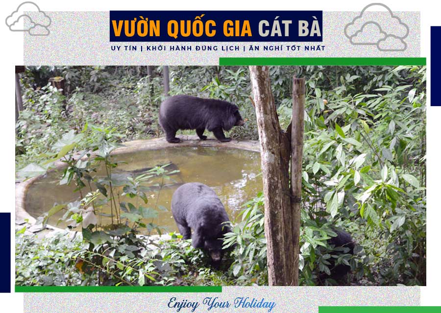 Vườn Quốc Gia Cát Bà