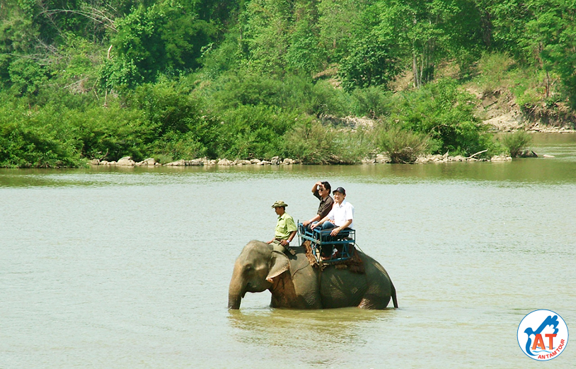 Hình ảnh về Tây Nguyên
