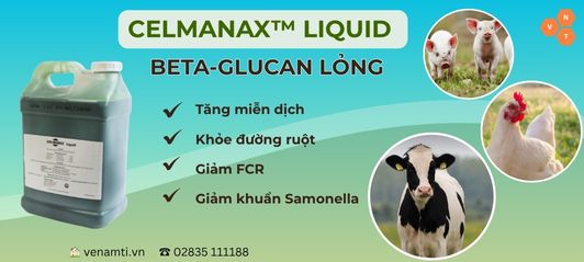 CELMANAX™ LIQUID - Tăng Miễn Dịch - Khỏe Đường Ruột