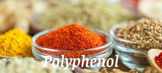 Polyphenol và vitamin E - Xu hướng chống oxy hóa tiềm năng trong thức ăn chăn nuôi