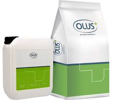 🧪 NGHIÊN CỨU ĐẠI HỌC: HIỆU QUẢ KHÁNG KHUẨN CỦA ELAN®C12