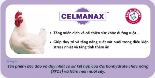 CELMANAX™ SCP Sản phẩm kết hợp Carbohydrates ™ và nấm men nuôi cấy