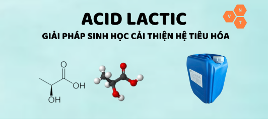 Acid Lactic Trong Chăn Nuôi – Giải Pháp Sinh Học Cải Thiện Hệ Tiêu Hóa