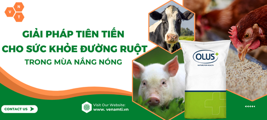 Elan®C4 - Giải Pháp Tiên Tiến Cho Sức Khỏe Đường Ruột Trong Mùa Nắng Nóng