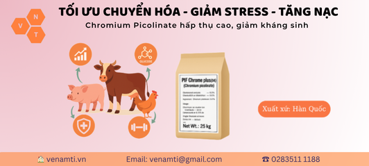 Tăng cường chuyển hóa - Giảm stress - Tối ưu tăng trọng với PIF Chrome Plus (0.4%)