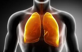 Cách lọc SẠCH PHỔI trong 3 ngày thậm chí người đã hút thuốc 40 năm cũng SẠCH