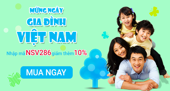 MỪNG NGÀY GIA ĐÌNH VIỆT NAM