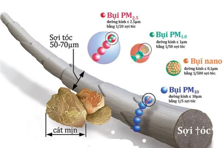 Bụi mịn PM2.5 là gì và tác hại như thế nào trong cuộc sống