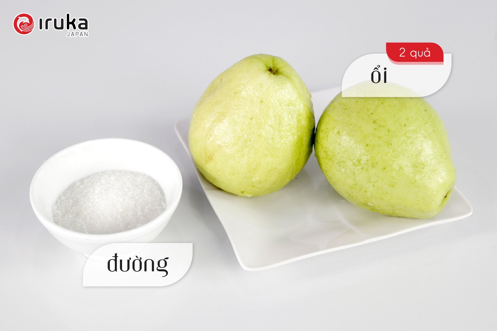 Hướng dẫn làm Nước ép ổi bằng Máy ép chậm Iruka I-52 2 z2150626345943 0657bdf3205d1cfacdea3d9609af5983