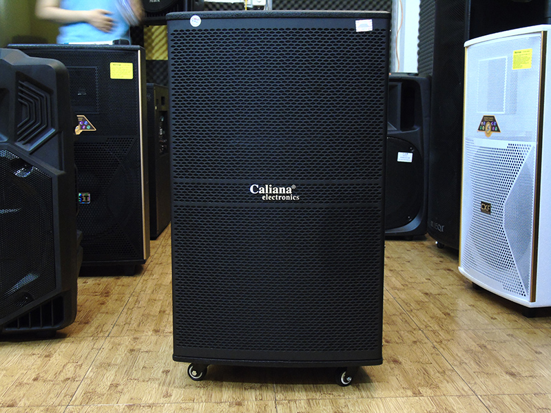 Loa kéo di động Caliana WD-15A