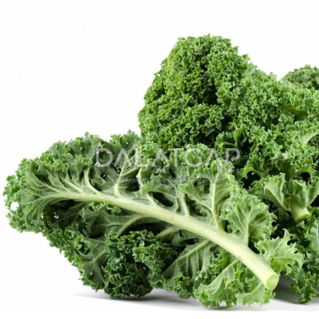 Cải Kale Tươi