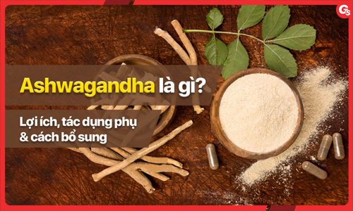 Ashwagandha là gì? Lợi ích, tác dụng phụ và cách bổ sung Ashwagandha