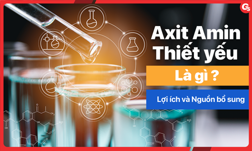 Axit amin thiết yếu là gì? Lợi ích và nguồn bổ sung axit amin thiết yếu