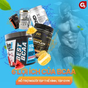 BCAA là gì? BCAA có tác dụng gì? Những điều bạn cần biết về BCAA