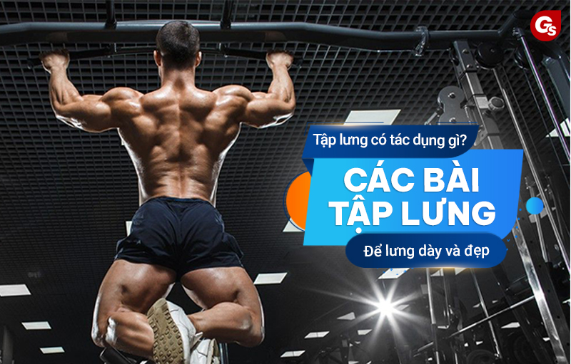 Tập lưng là gì? Các bài tập lưng cho một tấm lưng dày và đẹp