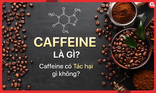 Caffeine là gì? Caffeine có tác hại gì không?