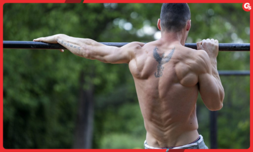 Calisthenics là gì? Những điều bạn cần biết trước khi tập Calisthenics