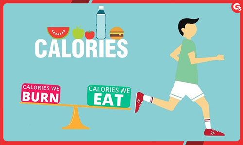 Calo in calo out là gì? Sự thật về việc tính calo in calo out