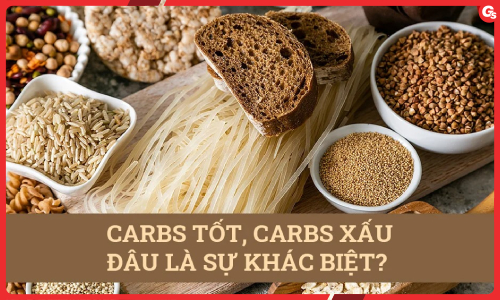 Carbohydrate: Carbs Tốt, Carbs Xấu, Đâu Là Sự Khác Biệt?