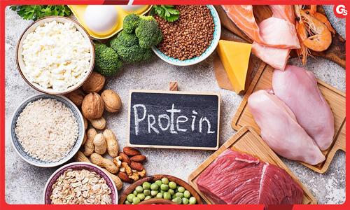 9 chức năng của protein với cơ thể và tập luyện