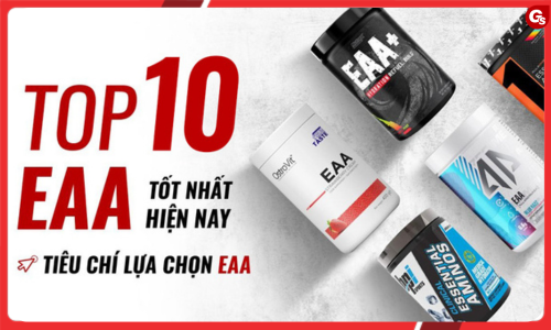 Top 10 EAA tốt nhất hiện nay - Bí quyết chọn EAA chất lượng