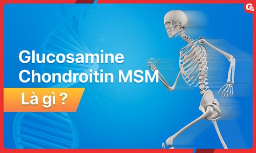 Glucosamine Chondroitin MSM là gì? Lợi ích, tác dụng phụ, cách bổ sung