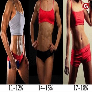 Body Fat là gì? Body Fat bao nhiêu là body chuẩn