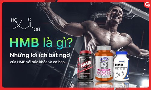 HMB là gì? Những lợi ích bất ngờ của HMB với sức khỏe và cơ bắp