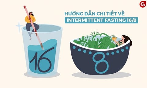 Intermittent Fasting 16/8 - Tất Cả Những Gì Bạn Cần Biết