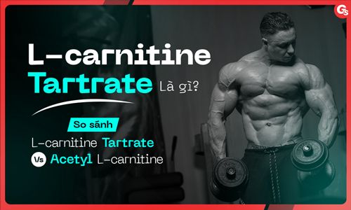 L-Carnitine Tartrate là gì? So sánh L-carnitine tartrate và Acetyl L-carnitine