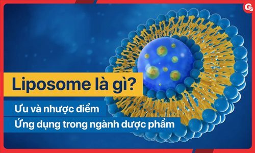 Liposome là gì? Những ưu diểm vượt trội và ứng dụng trong dược phẩm