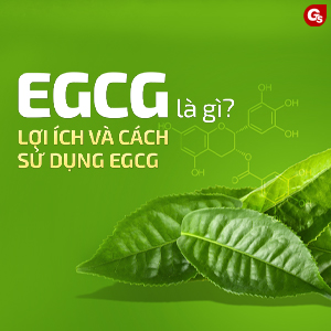 EGCG (Epigallocatechin Gallate): Lợi ích hỗ trợ giảm cân hiệu quả