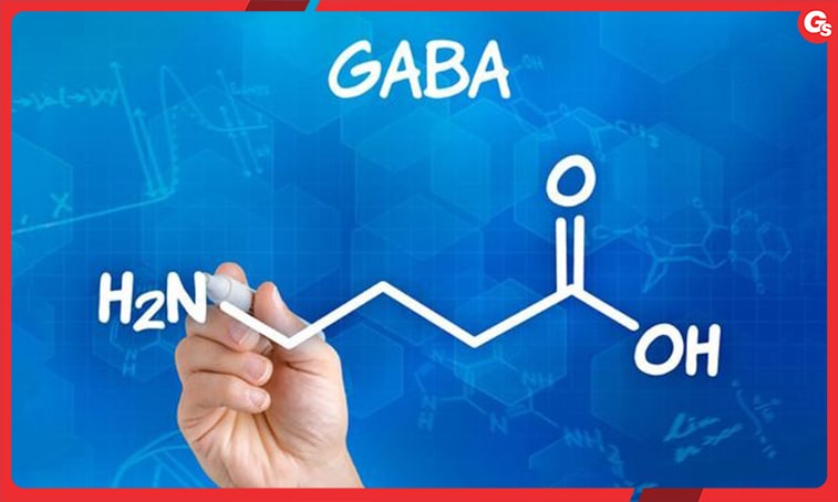 Tìm hiều về GABA | Định nghĩa, tác dụng, cách tăng GABA tự nhiên