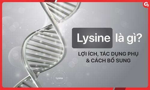 Lysine là gì? Lysine có tác dụng gì và cách bổ sung thế nào?