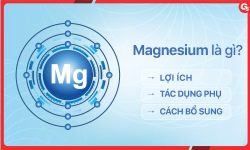 Magnesium là gì? Mọi điều bạn cần biết về Magnesium