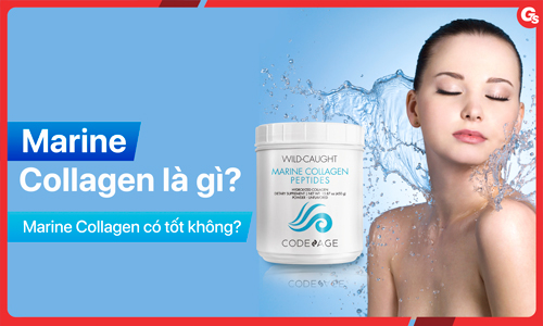 Marine Collagen là gì? Những ưu điểm của Marine Collagen