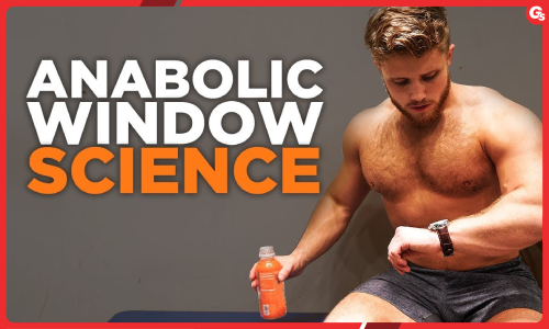 Anabolic Windowns: Cửa sổ đồng hóa - Cánh cửa giúp phát triển cơ bắp