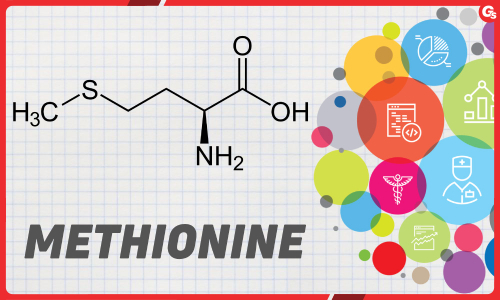 Methionine là gì? Lợi ích và nguồn thực phẩm bổ sung